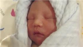 朱芯儀,衛斯理,迪寶,懷孕,粉色系男孩,樂樂