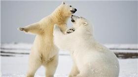 北極熊https://www.flickr.com/photos/puliarfanita/22154670472/in/photolist-zKJtF7-8u2ELb-nS9R1W-2rHKUy-jM6dLm-4EG3Jd-mqucZe-bYEMSJ-7sw4CG-4fsyGe-qPjLzs-6K338s-A2DnWf-84xgMj-mpqEnF-bsozXc-9G9Vme-8vqpyd-4on5RG-aaCmw3-9uKpHD-ffxd5s-zEN8F3-6sz8cU-bwnL44-bVGczy-4oks3k-kDYXbk-4o4xo5-34rbHK-9fSCFv-9j7FLE-ozQuXm-qRkykh-vjfAeY-9jNaoo-96qbFM-nzDfSp-zRUGdy-dnrLC3-7EiWrp-wbVfKm-zLPNYx-ovEkAX-wfnU9f-hKvHmh-7EnMt1-vc9nTQ-w9zBQ4-wbUfxj