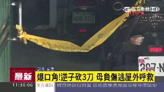 疑發生爭吵　毒蟲不孝兒拿刀砍傷母