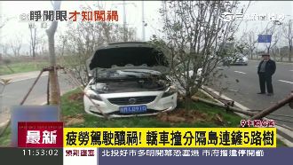 駕駛開車打瞌睡　一口氣撞倒5棵樹