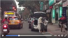 翻攝Nelson Lin臉書