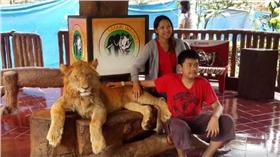  獅子被下藥/臉書/https://www.facebook.com/scorpionmonitor/videos/722144924595361/?fref=nf