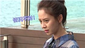 我們相愛吧,宋智孝,陳柏霖,橙汁夫婦／我們相愛吧微博