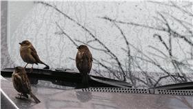 陰天、雨天、壞天氣（圖／路透社／達志影像）