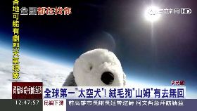 W協尋太空狗1200