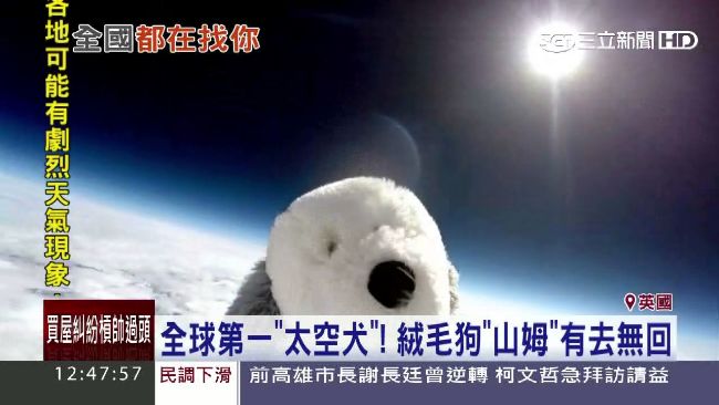 尋找山姆！全球首隻「太空狗」失蹤了