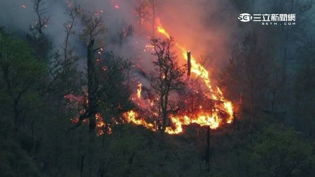 梨山大火燒8公頃　疑包工煮食釀意外