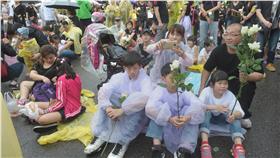 白玫瑰,凱道／中央社