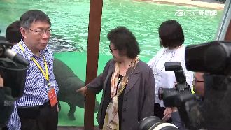 柯P民調下滑！　陳菊這句話幫忙打氣