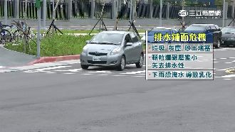 美國早棄用！北市推吸水柏油路遭打臉