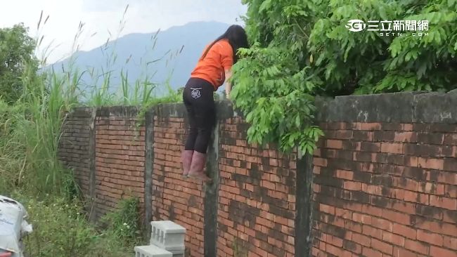 女擅拆農會鐵籬　農地出入口被牆封死