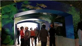 東山水漾魚隧道／臉書
https://goo.gl/Zsri3q