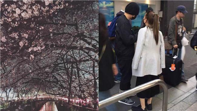 又被偶遇！網友捕獲周董夫妻甜遊東京