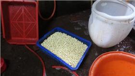 雙氧水浸泡蓮子
翻攝自台中市政府
http://www.taichung.gov.tw/ct.asp?xItem=1580676&ctNode=7462&mp=100040