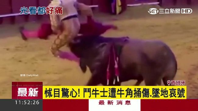 鬥牛場濺血！西國猛男遭牛角狠插臀部