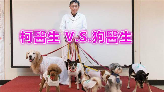 影／「柯文哲VS狗醫生」披白袍開會