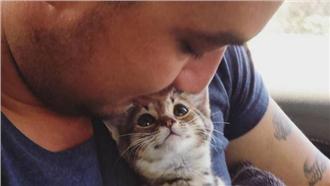 小貓咪眼神閃閃發亮　感謝主人救起牠