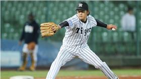 阪神虎左投岩貞祐太（圖／中華職棒提供）