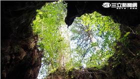 超浪漫！情人必去日本自然「心」景點。(圖／樂天旅遊提供）
