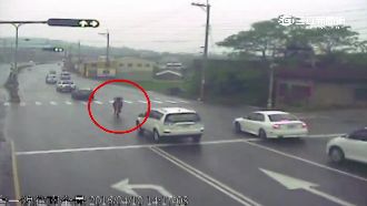 一路狂奔！「小牛」誤闖台1線逛大街