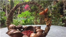 千畦種籽舘 （圖／翻攝自千畦種籽舘臉書）