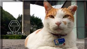 台北貓纜動物園站貓站長咪咪退休了
https://www.facebook.com/mimistationmaster/timeline