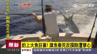 生死一瞬間　出海捕旗魚險遭尖嘴穿心