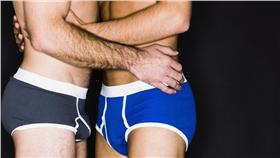 同性戀,伴侶,性行為▲圖／達志影像