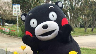 熊本熊平安！震後神隱的顧慮讓人鼻酸