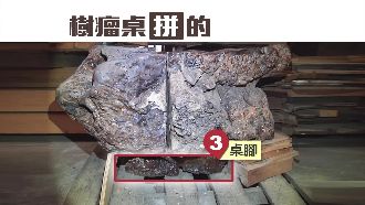 百萬牛樟瘤桌送修　卻發現是拼裝貨！