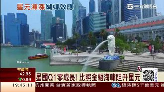 Q1零成長！新加坡出招阻升星元