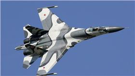 蘇愷27 SU 27 (維基百科)