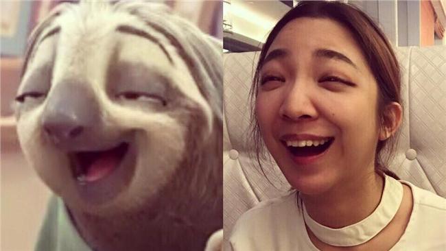 樹懶會唱歌？高雋雅一開口網友直呼讚
