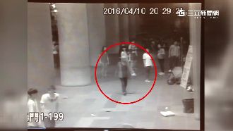 大鬧國父紀念館　囂張毒蟲嚇壞學生