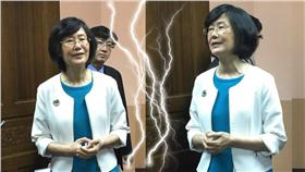 羅瑩雪（圖／記者陳彥宇攝）