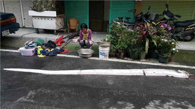 台南剛地震…花蓮就捉到超長地震魚