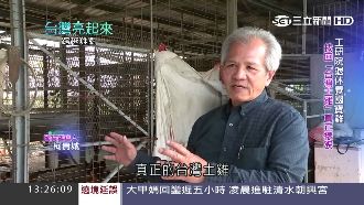 自製茶葉益生菌　他養出「國寶雞」