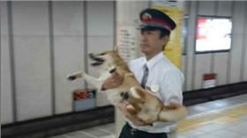 ▲圖／翻攝自推特