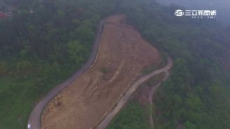 古坑山林遭濫墾　變「螢火蟲之墓」