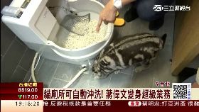 偉文貓廁所1800