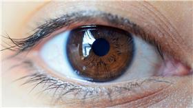 眼睛　（shutterstock／達志影像）