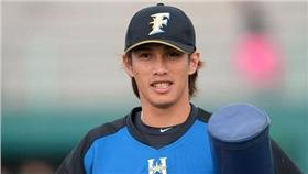 陽岱鋼（圖／取自北海道日本火腿鬥士隊全球粉絲團）