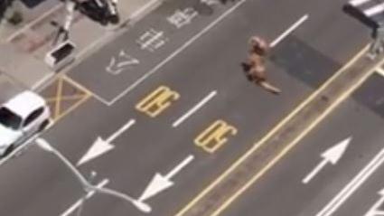 原來萬安演習不是防空　是要躲恐龍？