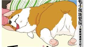 毛小孩就愛玩～我家柯基萌日記～　台灣角川提供