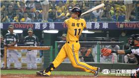 中信兄弟蔣智賢（圖／記者王怡翔攝）