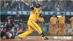 中信兄弟蔣智賢（圖／記者王怡翔攝）