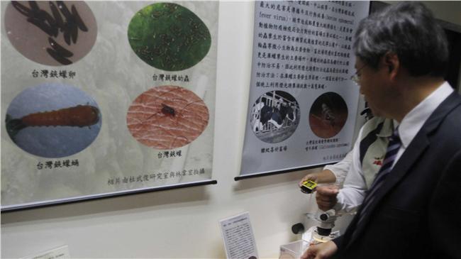 張善政：與賴清德患難見真情