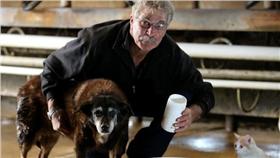 ▲最長壽狗狗。（圖／翻攝自《the weekly times》官網）