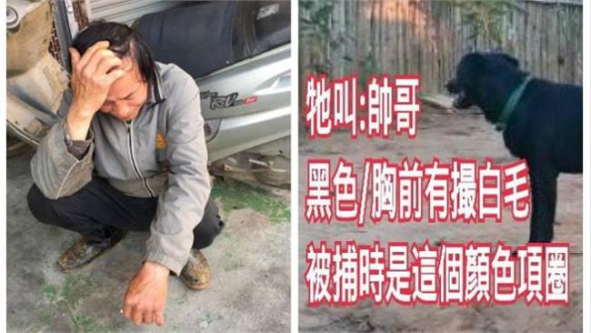 相依為命愛犬走失　瘖啞男子蹲地痛哭