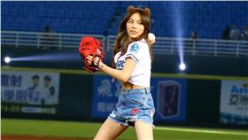 ▲熊熊 Bear Genie桃園開球（圖／桃猿球團提供）